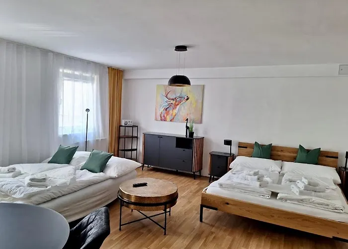 Air-conditioned, Quiet With A Terrace In Center Of St Poelten - Smart Tv アパート ザンクト・ペルテン